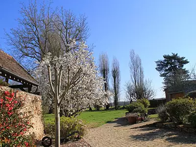 Maison, 251 m²