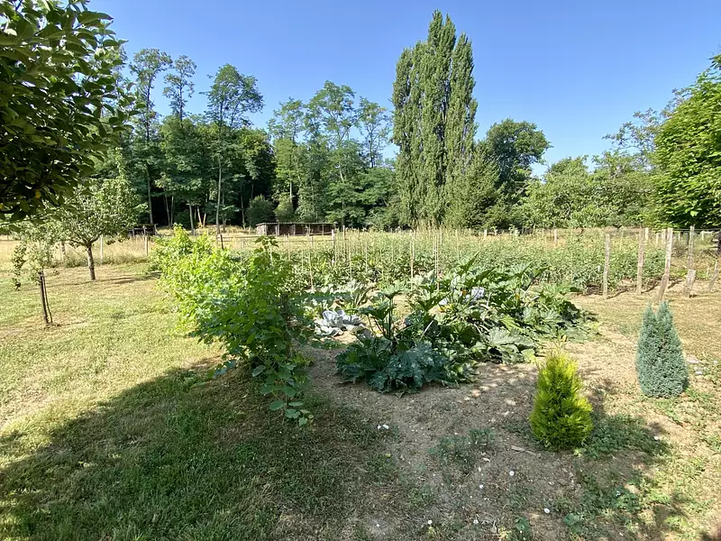 Maison, 232 m²