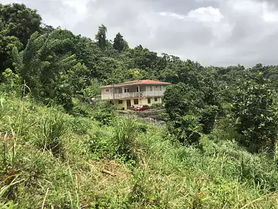 Terrain, 709 m²
