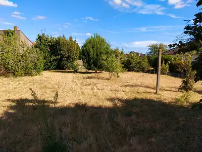 Terrain, 990 m²