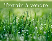 Terrain, 539 m²