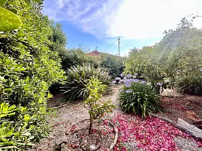 Maison, 165 m²