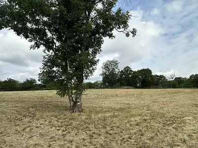 Terrain, 1 847 m²