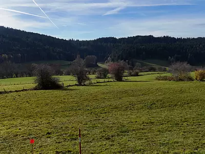Terrain, 963 m²