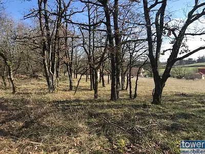 Terrain, 5 000 m²