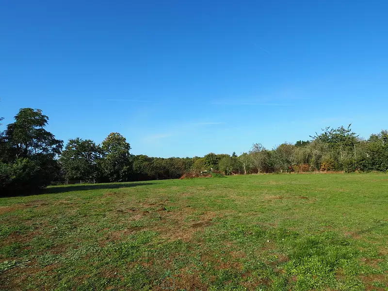 Terrain, 1 250 m²