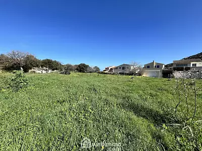 Terrain