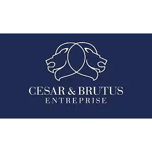 Logo de l'agence CESAR ET BRUTUS