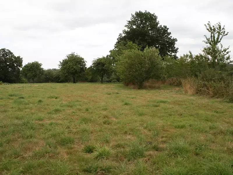 Terrain, 1 100 m²