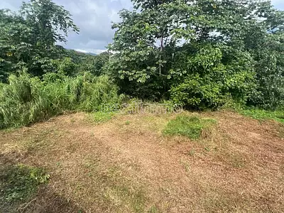 Terrain, 1 274 m²