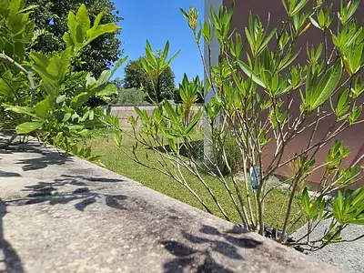 Maison, 95 m²