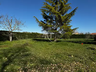 Terrain, 869 m²