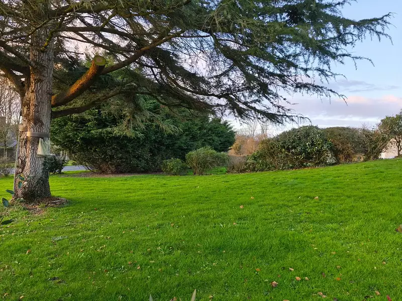 Terrain, 444 m²