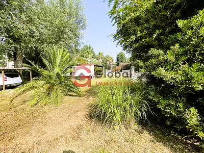 Terrain, 772 m²