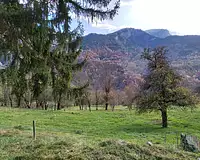 Terrain, 667 m²