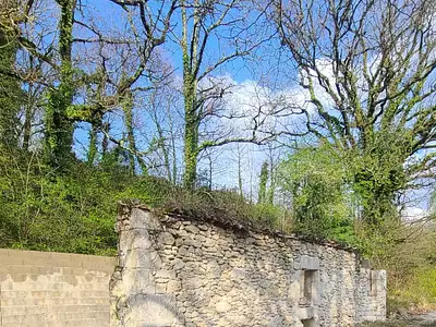Terrain, 7 424 m²