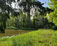 Terrain, 50 000 m²