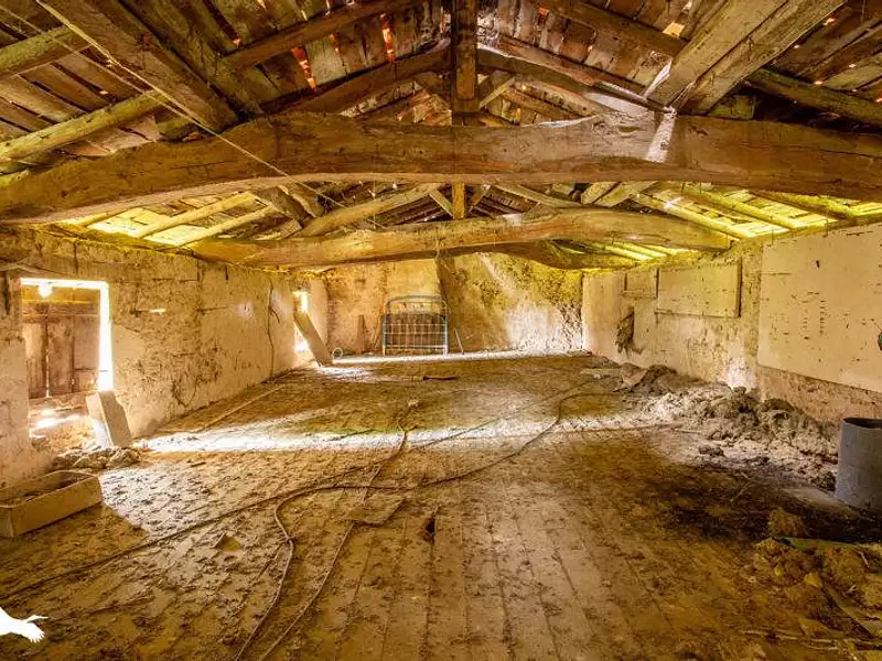 Maison, 250 m²
