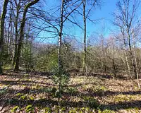 Terrain, 27 664 m²