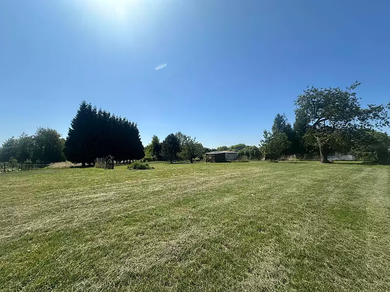 Terrain