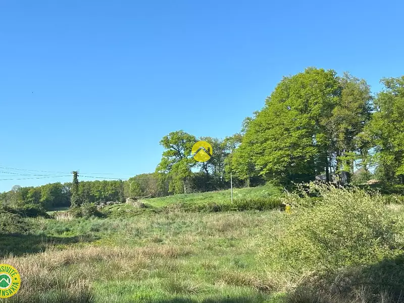 Terrain