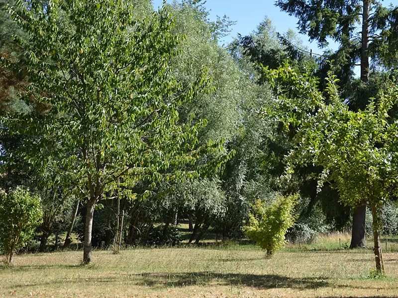 Maison, 170 m²