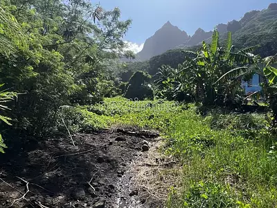 Terrain, 1 650 m²