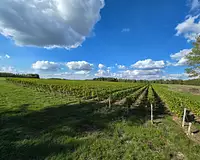 Terrain, 188 525 m²