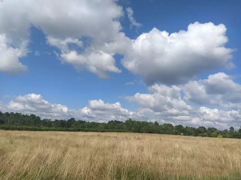Terrain, 1 600 m²