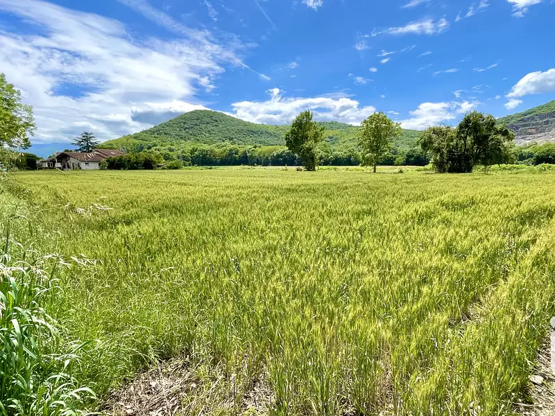Terrain, 4 300 m²