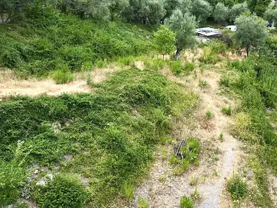 Terrain, 1 539 m²