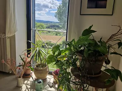 Maison, 280 m²