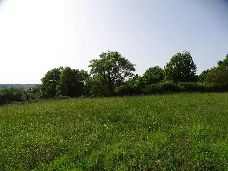 Terrain, 1 250 m²