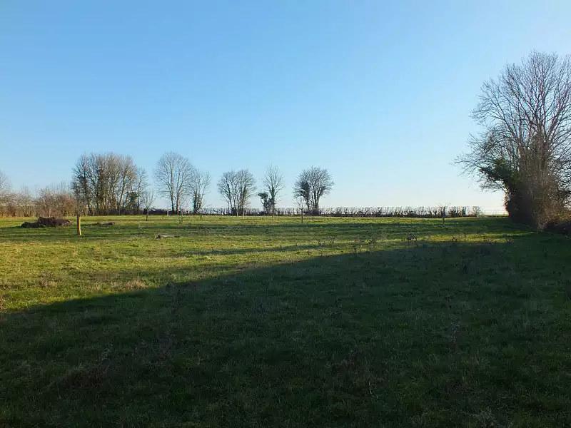 Terrain, 5 990 m²