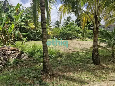 Terrain, 623 m²
