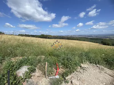 Terrain, 1 743 m²