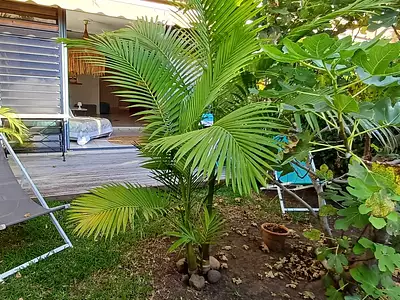 Appartement, 90 m²