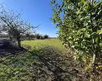 Maison, 74 m²