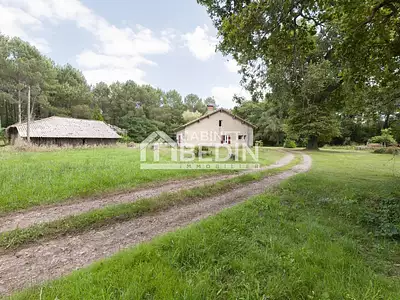 Maison, 247 m²