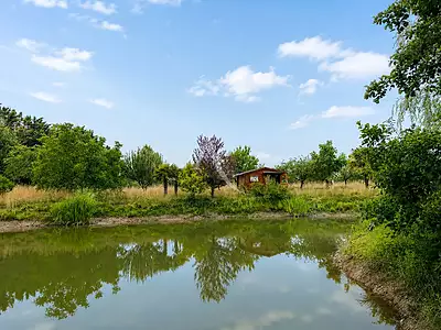 Terrain, 31 502 m²