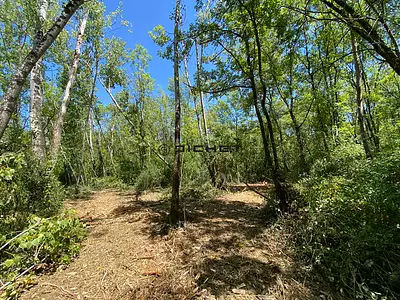 Terrain, 33 210 m²