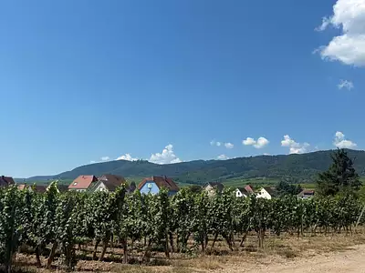 Prochainement à Wintzenheim