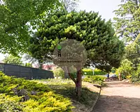 Maison, 196 m²