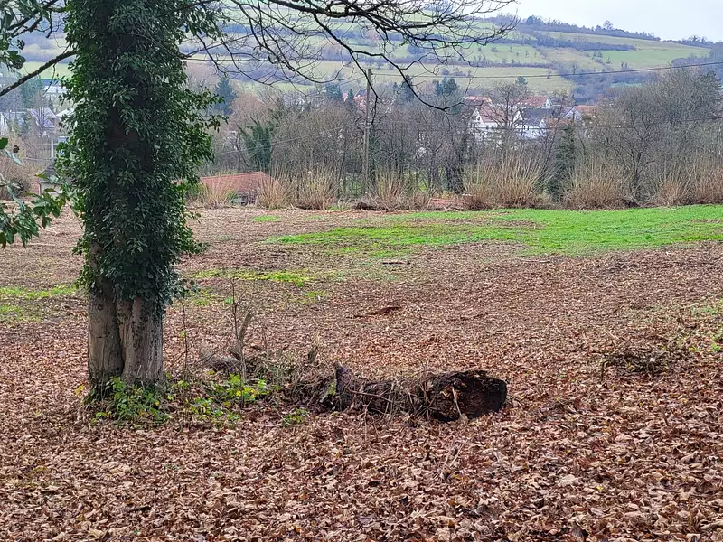Terrain, 3 374 m²