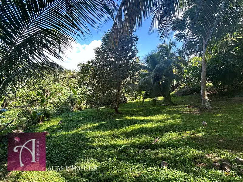 Terrain, 1 819 m²