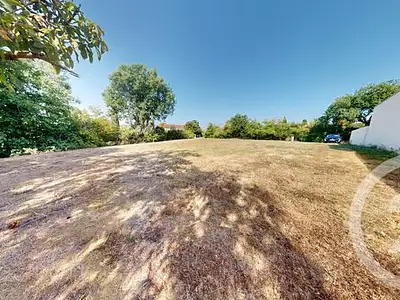 Terrain