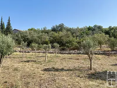 Terrain, 1 722 m²