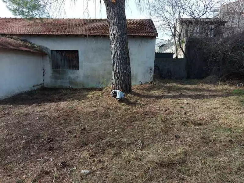 Terrain, 325 m²
