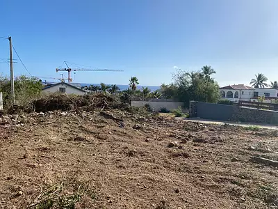 Terrain, 443 m²