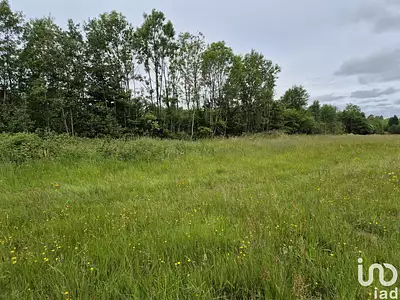 Terrain